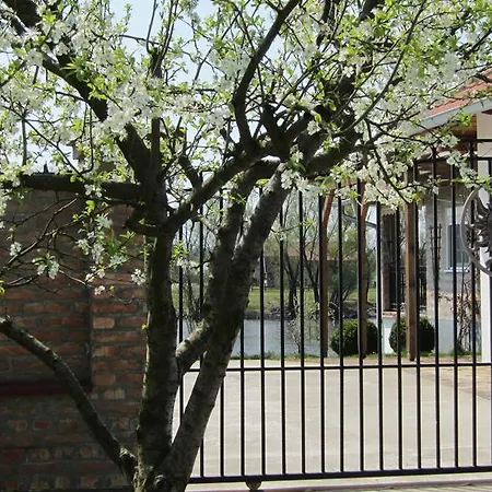 Apartment Sunce *