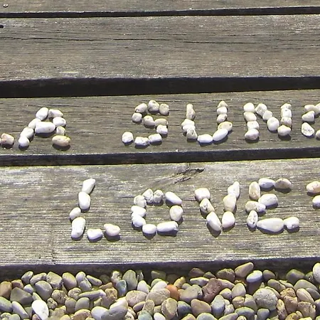 Sunce