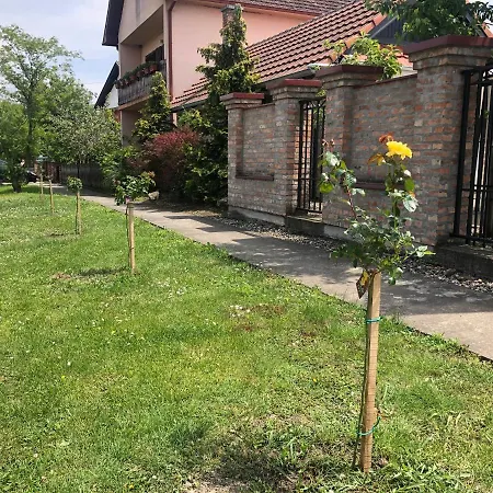 Apartment Sunce