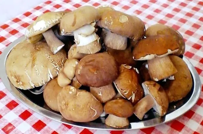 Apartman Sunce Marót